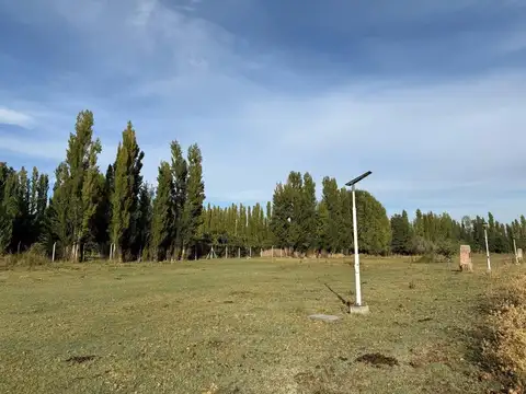 Avenida de los constituyentes 2200