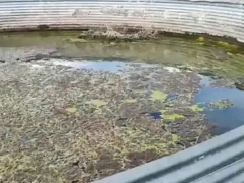 Campo en venta - 430 Hectáreas - San Luis