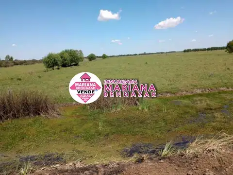 Campo en Isla, zona Alsina - Baradero