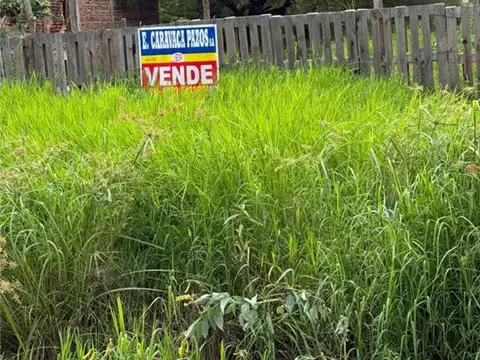 JUAN DE DIOS MENA 2100