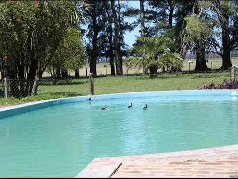 Campo en venta en Mercedes