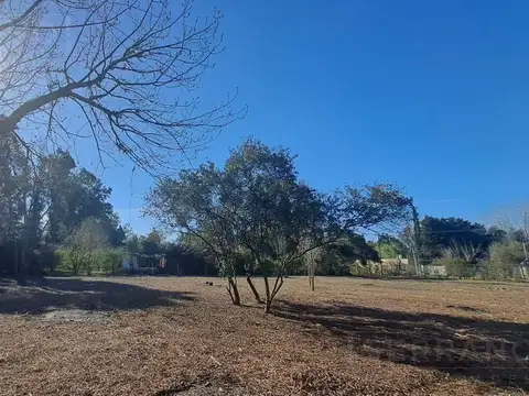 Terreno en Venta 72  mts Fondo