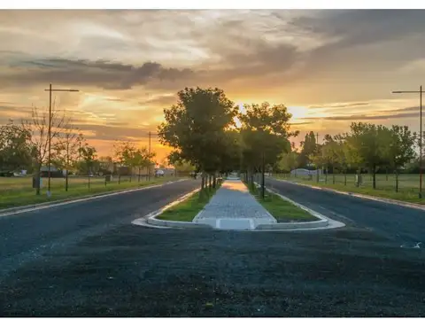 Ruta Provincial 26 y Juan José Saer