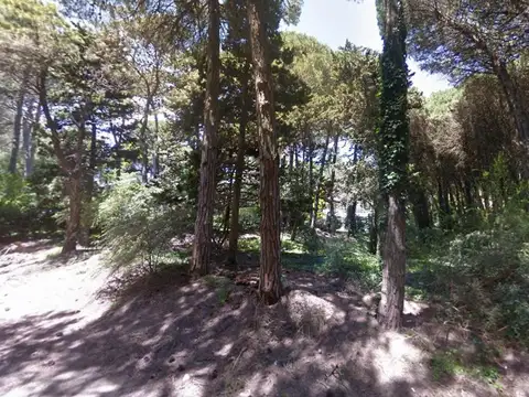 Terreno en Venta en Carilo, USD 189.000