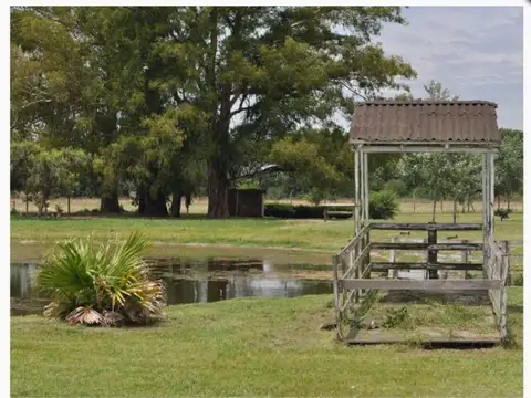 Campo, fondo de comercio,  6has. en Gral. Rodriguez, arbolado, ideal varios rubros