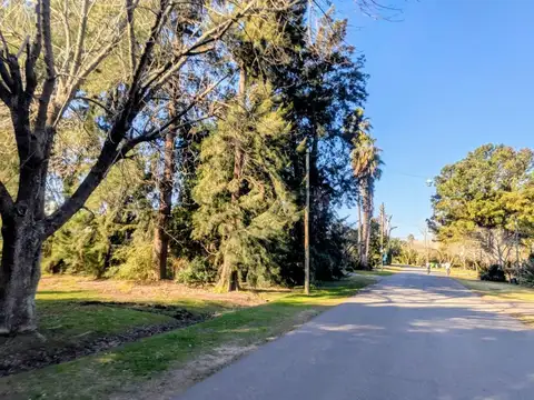 Libertad 1391 UF 249 1300