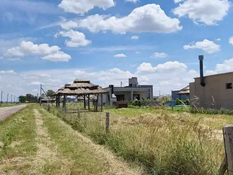 Calle Camino A Navarro