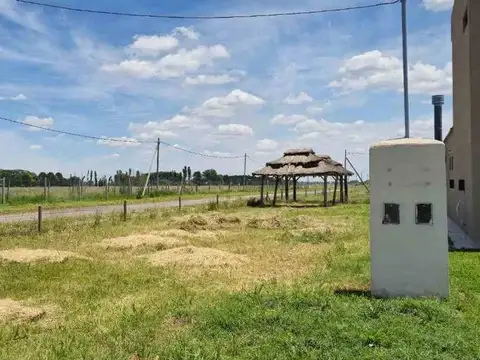 Calle Camino A Navarro