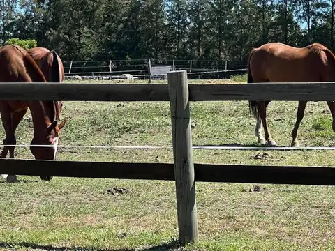 Terreno en Venta de 1260,0 m2