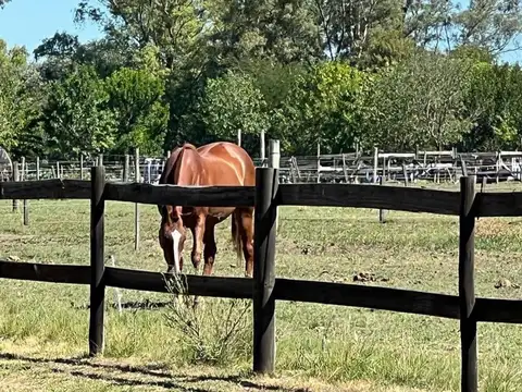 Terreno en Venta en Altos De Manzanares, USD 55.000