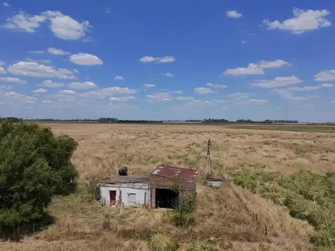 Campo en Venta de 14 has a 1.000 mts de la ruta 3 km 82 -Cañuelas