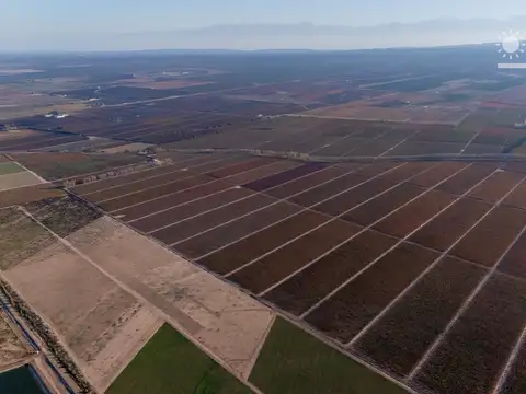 Finca en venta en Agrelo