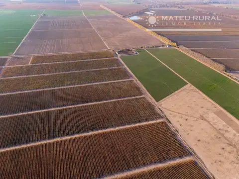 Finca en Alto Agrelo