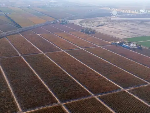 Campo en Venta de 200  ha