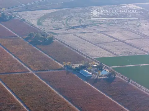 Finca en venta en Agrelo