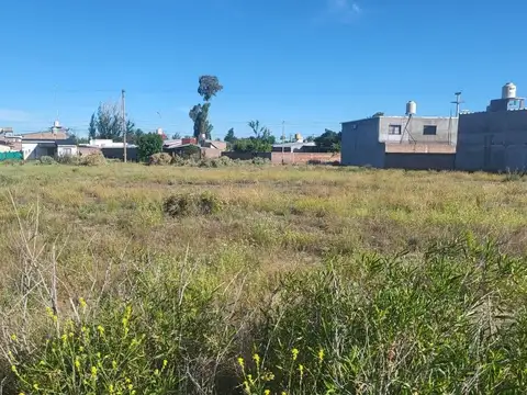 A. Capdeville y Lisandro de la Torre