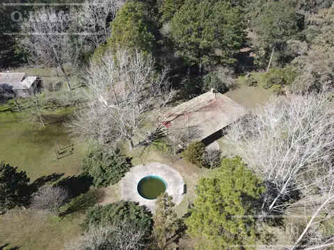 Casa Quinta de 2 Has con pileta y gran arboleda en Abasto - En venta en La PLata