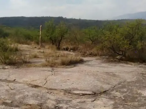 Terreno en Venta de 8000,0 m2