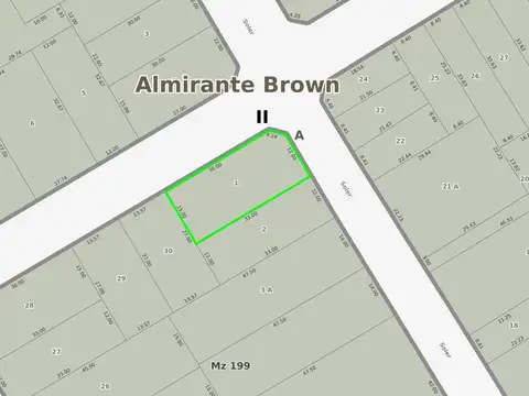 General Miguel Soler y Florentino Ameghino