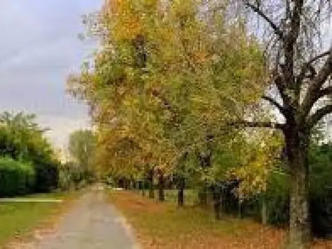 Terreno en Venta en Exaltacion De La Cruz, USD 70.000