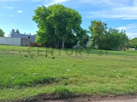 79 ESQUINA 134 , Piso 0