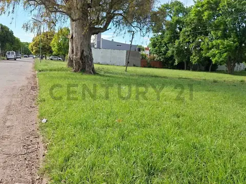 Terreno en Venta de 300,0 m2