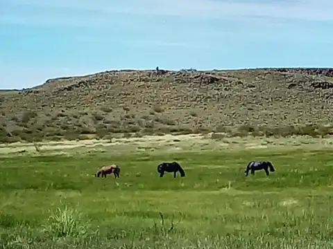 MINISTRO RAMOS MEXIA, PROV DE RIO NEGRO