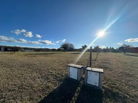 LOTE EN VENTA COUNTRY LA ARBOLADA HOLLYWOOD