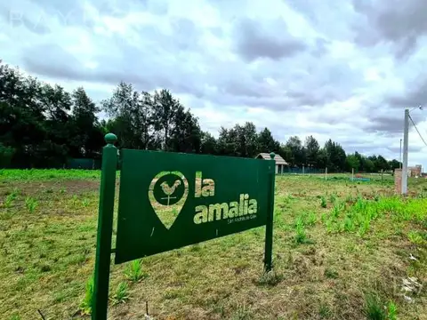 Venta - Terrenos en La Amalia - San Andrés de Giles