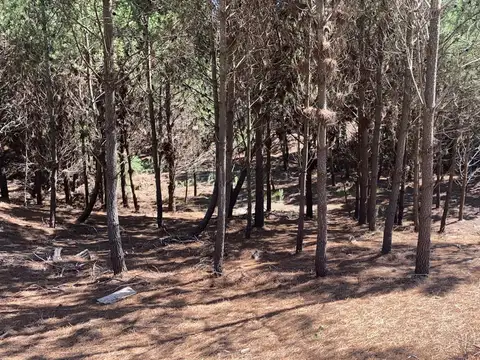 Maritimo III - RETASADO