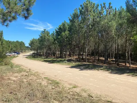 Maritimo III - LOTE 53