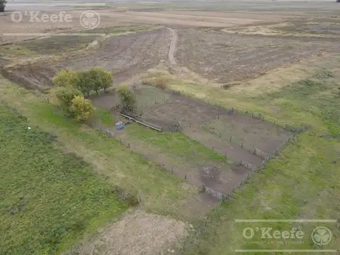 Campo mixto de 324 has de General Alvear