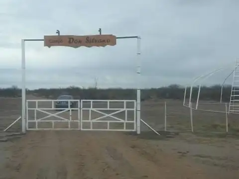 VENDO CAMPO 300 HECTAREAS RUTA 143 GENERAL ALVEAR MENDOZA