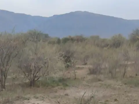 Terreno en Venta en Los Molles, USD 17.000