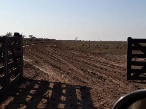 Campo Ganadero Trabajando