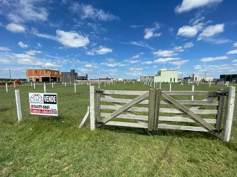 Jujuy  al 700 Domselaar Mza 79 L3