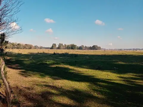 Campo en Venta de 1,60  ha