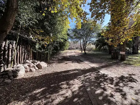 Fondo Comercio en Alquiler 31 años