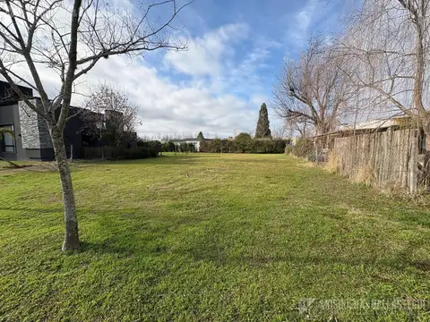 Santa Guadalupe - Pilar del Este