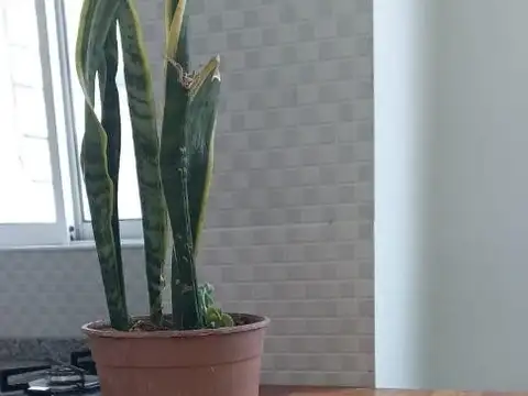 ALQUILER MONOAMBIENTE AMOBLADO CON TERRAZA – PALERMO, GÜEMES