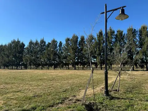 Terreno en Venta de 1015,0 m2