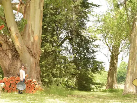 Terreno - Berazategui