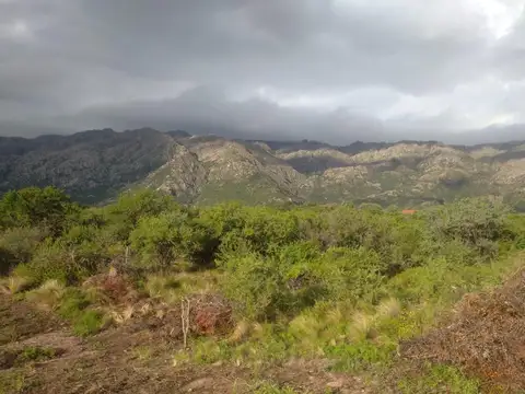 Terreno en Venta en Cortaderas, USD 55.000