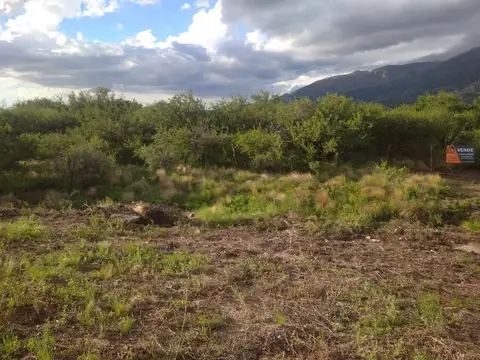 Terreno en Venta de 2500,0 m2