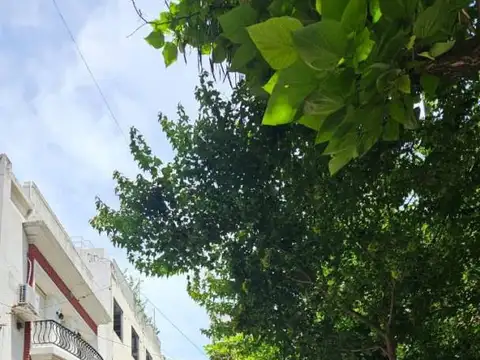 Departamento 3 ambientes en alquiler en Palermo Chico.