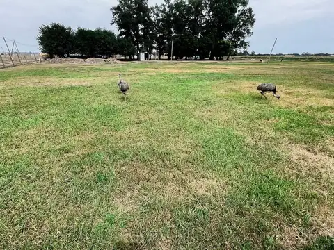 Terreno en Venta en General Rodriguez, USD 25.000