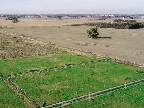 Terreno en Venta de 600,0 m2