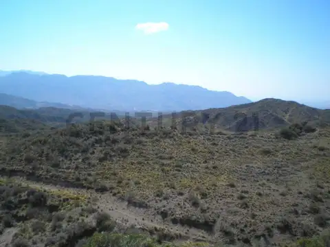 TERRENO EN VENTA 1 HA RUTA 7 S/N LUJAN DE CUYO