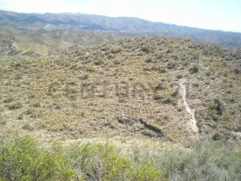 Terreno en Venta de 10000,0 m2