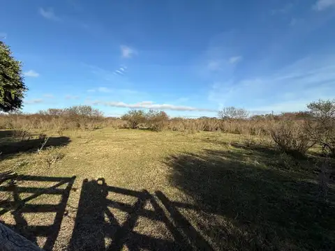 54 has Campo Agrícola  PERMUTA, o VENTA x depto Cap. Federal